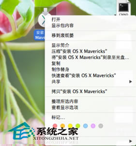 Mac OS X 10.9U