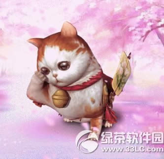 斗战神家肥猫来福如何获得 萌猫坐骑家肥猫来福属性图