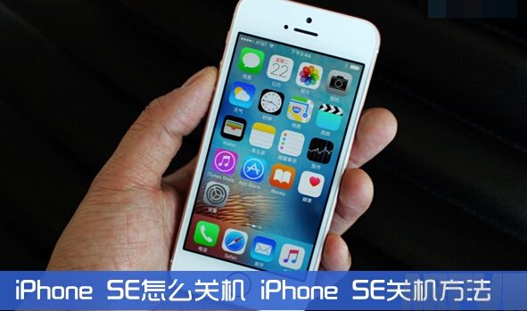 iPhone SEôػ966.jpg