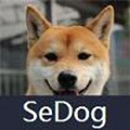 sedogô޴|sedogʣΪ0취