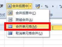 Excel2010ôϲԪ