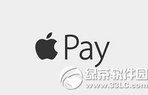 appôapple pay֧ ֻappʹapple pay֧취