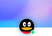 qq2023v9.2.2.26569��ʽ��_�ٷ������ʽ��