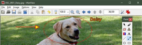 irfanview�ٷ����������_PC��Ѱ�����ṩ����