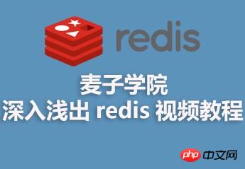 ѧԺǳ redis ƵϷ