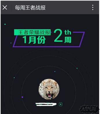 王者荣耀每周王者战报在哪看 每周王者战报观看地址介绍