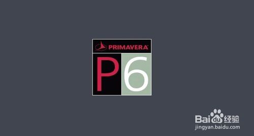 primavera p6 İôװPrimavera P6 İ氲װ̳