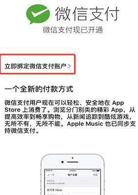 App Store΢֧ʽApp Store΢֧ͼĽ̳