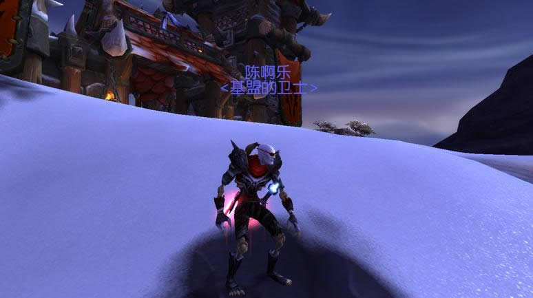 皮甲幻化:亡灵男盗贼 隐匿在夜色里中的灰